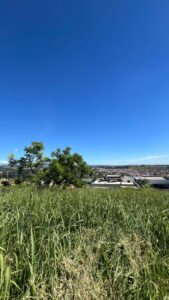 campos do conde taubaté 1